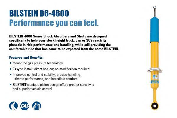 BILSTEIN BIL003019 Амортизатор