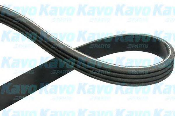 KAVO PARTS 4PK913 Полікліновий ремінь