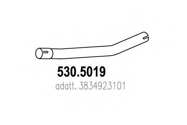 ASSO 530.5019