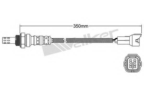 WALKER PRODUCTS 250-24372