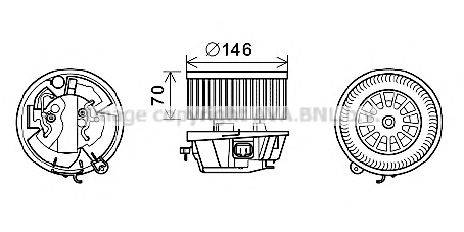 PRASCO CN8296