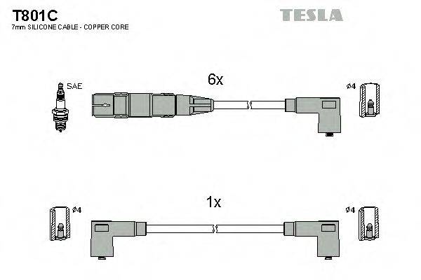 TESLA T801C