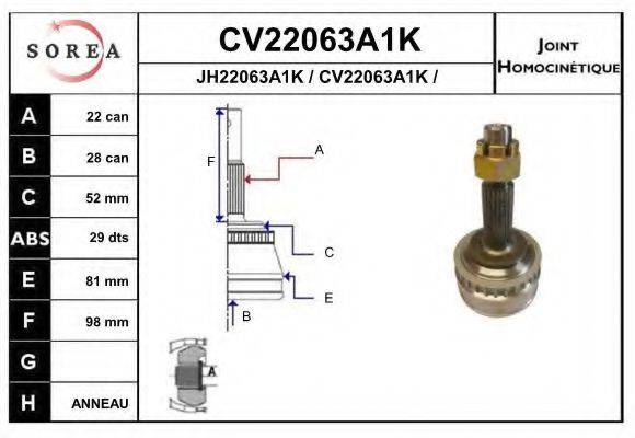 EAI CV22063A1K