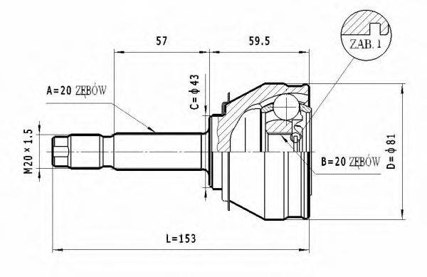 STATIM C.005