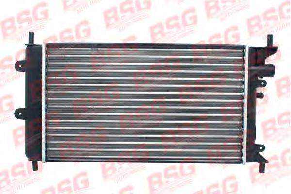 BSG 30-520-006 сітка радіатора, охолодження двигуна