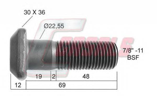 CASALS 21305