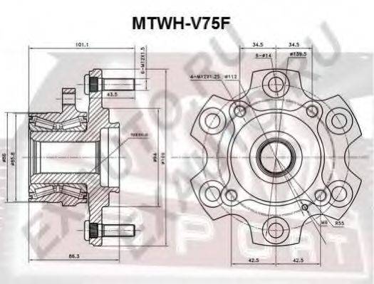 ASVA MTWH-V75F