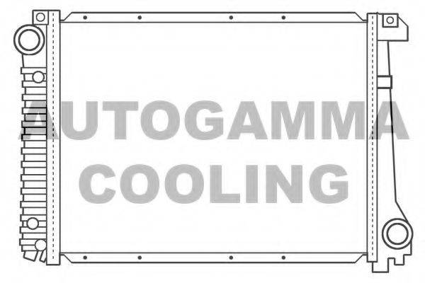 AUTOGAMMA 100103 Радіатор, охолодження двигуна