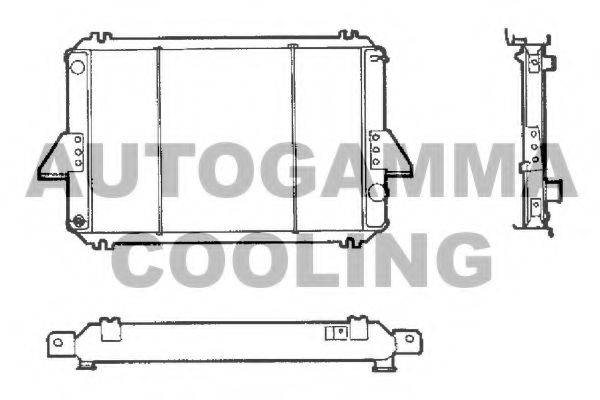 AUTOGAMMA 100245 Радіатор, охолодження двигуна