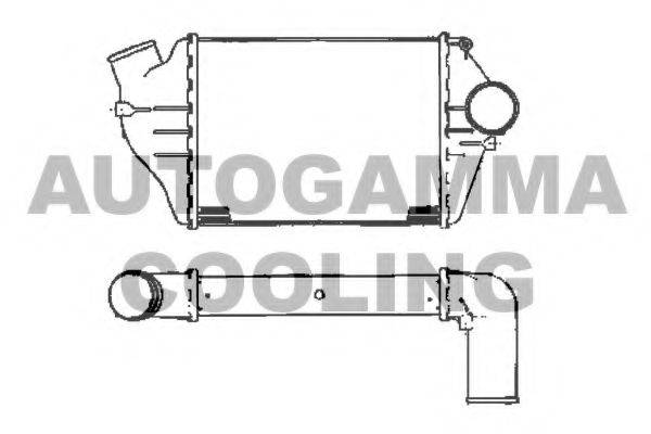 AUTOGAMMA 101891 Інтеркулер