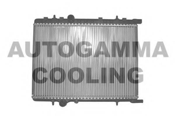 AUTOGAMMA 102873 Радіатор, охолодження двигуна
