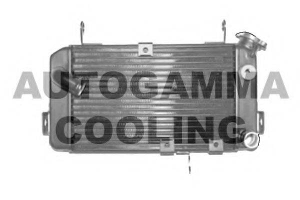 AUTOGAMMA 104341 Радіатор, охолодження двигуна