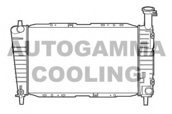AUTOGAMMA 105162 Радіатор, охолодження двигуна