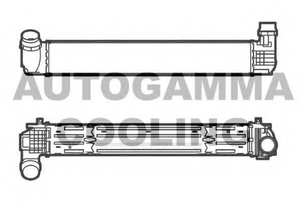 AUTOGAMMA 105339