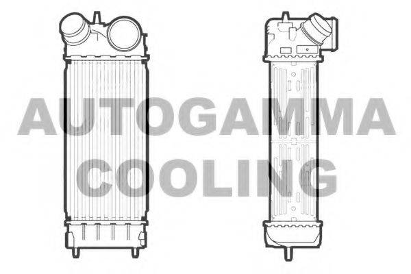 AUTOGAMMA 107116