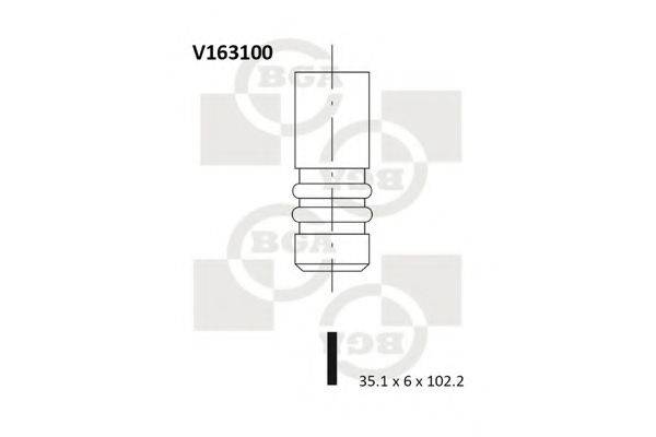 BGA V163100 Впускний клапан