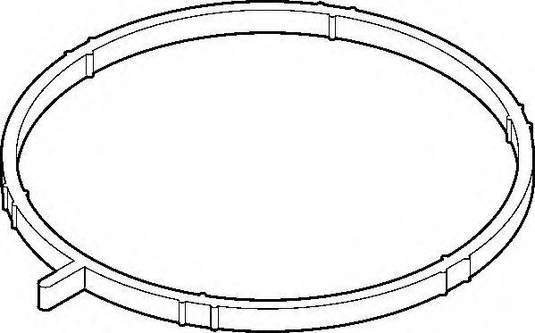 WILMINK GROUP A2C59511705 Прокладка корпус впускного колектора