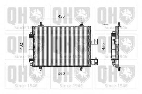 QUINTON HAZELL QCN222