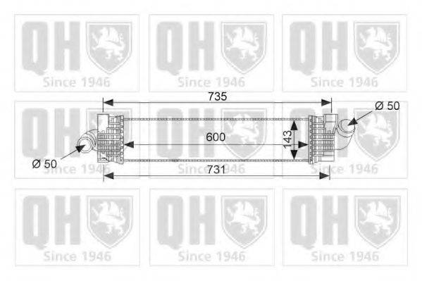 QUINTON HAZELL QIC132