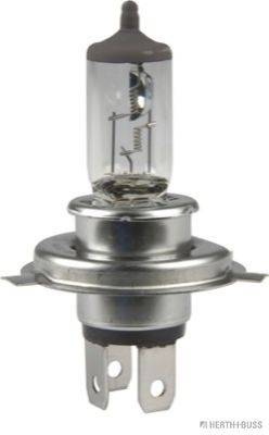 HC-PARTS 170792 Лампа розжарювання, фара далекого світла; Лампа розжарювання, основна фара; Лампа розжарювання, протитуманна фара; Лампа розжарювання, основна фара