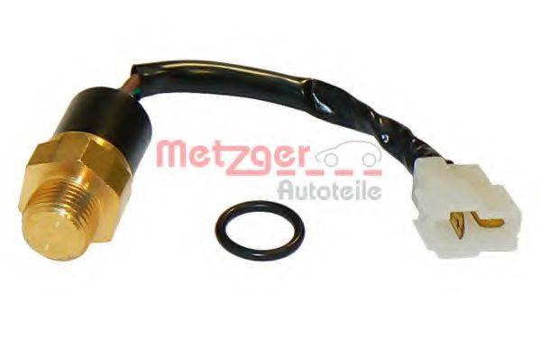 METZGER 0915205